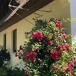 Дом отдыха Reetdachlandhaus Wiemershoern Sudbrookmerland