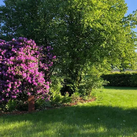 Reetdachlandhaus Wiemershoern Holiday home